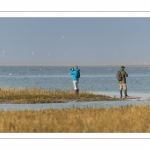 Promeneurs venant observer les oiseaux en baie de Somme dans la réserve naturelle à marée haute