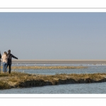 Promeneurs venant observer les oiseaux en baie de Somme dans la réserve naturelle à marée haute