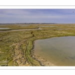 Moutons de prés salés en baie de Somme (vue aérienne)