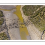 Moutons de prés salés en baie de Somme (vue aérienne)