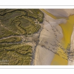 Moutons de prés salés en baie de Somme (vue aérienne)