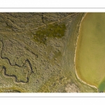 Moutons de prés salés en baie de Somme (vue aérienne)