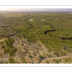 Moutons de prés-salés en baie de Somme (vue aérienne)