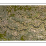 France, Somme (80), Baie de Somme, Le Crotoy, Les mollières de la Baie de Somme (vue aérienne), chenaux et végétation aux teintes variées créent des mini paysages abstraits // France, Somme (80), Baie de Somme, Le Crotoy, Salted meadows in Baie de Somme (aerial view), channels and vegetation in various shades create mini abstract landscapes