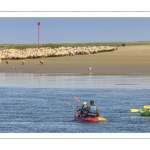 Kayak et moutons d'estran en baie de Somme