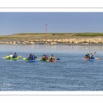 Kayak et moutons d'estran en baie de Somme