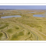 Moutons de prés salés en baie de Somme (vue aérienne)