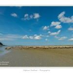 Moutons_21_08_2015_081-border