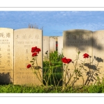 Le cimetière chinois de Nolette