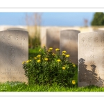 Le cimetière chinois de Nolette