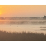 Aube sur les marais de la baie de Somme