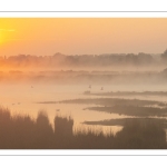 Aube sur les marais de la baie de Somme