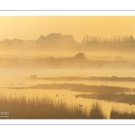 Aube sur les marais de la baie de Somme