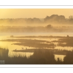 Aube sur les marais de la baie de Somme