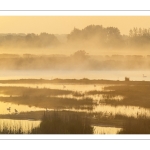 Aube sur les marais de la baie de Somme