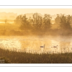 Aube sur les marais de la baie de Somme