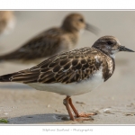 Tournepierre_30_08_2015_008-BorderMaker