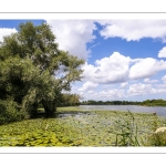 Réserve naturelle nationale des étangs du Romelaëre