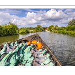 Visite Du Marais Audomarois en barque
