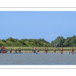 Open de France de Stand Up Paddle organisé par le club local "Les Planches de Cayeux"
