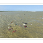 Open de France de Stand Up Paddle organisé par le club local "Les Planches de Cayeux"