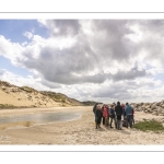 Phoques et flore au cœur de la Baie d’Authie - Patrick Bailleux