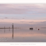 Saison : été - Lieu : Cap Hornu, Saint-Valery-sur-Somme, Baie de Somme, Somme, Hauts-de-France, France.