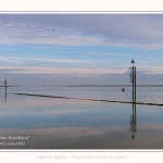 Saison : été - Lieu : Cap Hornu, Saint-Valery-sur-Somme, Baie de Somme, Somme, Hauts-de-France, France.