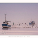 Pêcheur à la crevette, dits "Sauterelliers". Saison : été - Lieu : Cap Hornu, Saint-Valery-sur-Somme, Baie de Somme, Somme, Hauts-de-France, France.