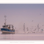 Pêcheur à la crevette, dits "Sauterelliers". Saison : été - Lieu : Cap Hornu, Saint-Valery-sur-Somme, Baie de Somme, Somme, Hauts-de-France, France.