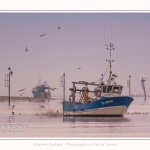 Pêcheur à la crevette, dits "Sauterelliers". Saison : été - Lieu : Cap Hornu, Saint-Valery-sur-Somme, Baie de Somme, Somme, Hauts-de-France, France.