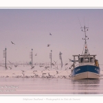 Pêcheur à la crevette, dits "Sauterelliers". Saison : été - Lieu : Cap Hornu, Saint-Valery-sur-Somme, Baie de Somme, Somme, Hauts-de-France, France.