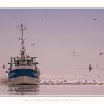 Pêcheur à la crevette, dits "Sauterelliers". Saison : été - Lieu : Cap Hornu, Saint-Valery-sur-Somme, Baie de Somme, Somme, Hauts-de-France, France.