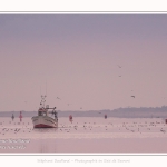 Pêcheur à la crevette, dits "Sauterelliers". Saison : été - Lieu : Cap Hornu, Saint-Valery-sur-Somme, Baie de Somme, Somme, Hauts-de-France, France.