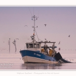 Pêcheur à la crevette, dits "Sauterelliers". Saison : été - Lieu : Cap Hornu, Saint-Valery-sur-Somme, Baie de Somme, Somme, Hauts-de-France, France.