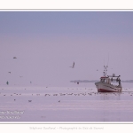 Pêcheur à la crevette, dits "Sauterelliers". Saison : été - Lieu : Cap Hornu, Saint-Valery-sur-Somme, Baie de Somme, Somme, Hauts-de-France, France.