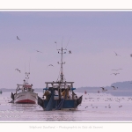 Pêcheur à la crevette, dits "Sauterelliers". Saison : été - Lieu : Cap Hornu, Saint-Valery-sur-Somme, Baie de Somme, Somme, Hauts-de-France, France.