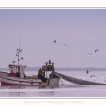 Pêcheur à la crevette, dits "Sauterelliers". Saison : été - Lieu : Cap Hornu, Saint-Valery-sur-Somme, Baie de Somme, Somme, Hauts-de-France, France.