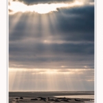 Phoques_Berck_03_11_2016_028-border