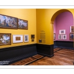 le Musée de Picardie à Amiens