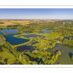 marais d’Ailly-sur-Somme