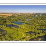 marais d’Ailly-sur-Somme