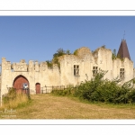 Château féodal et Collégiale Saint-Martin de Picquigny