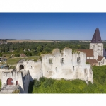 Château féodal et Collégiale Saint-Martin de Picquigny