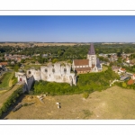 Château féodal et Collégiale Saint-Martin de Picquigny