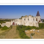 Château féodal et Collégiale Saint-Martin de Picquigny