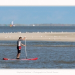 Plaisance_Saint_Valery_15_08_2016_007-border