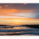 Quend_Plage_Bouchots_01_04_2017_007-border