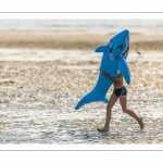 Vacanciers sur la plage de Quend-Plage