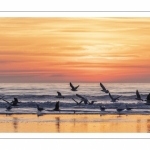 La plage de Quend-Plage (Côte Picarde) au crépuscule